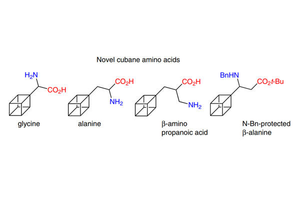 synthesis of novel amino acids containing cubane